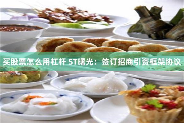 买股票怎么用杠杆 ST曙光：签订招商引资框架协议