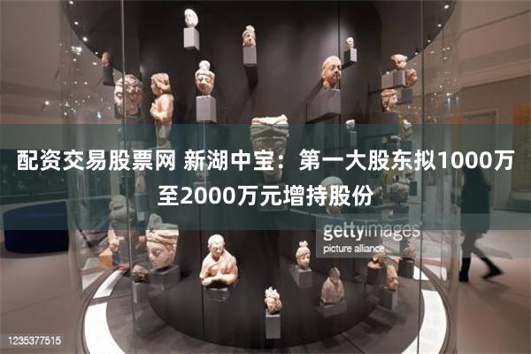 配资交易股票网 新湖中宝：第一大股东拟1000万至2000万元增持股份