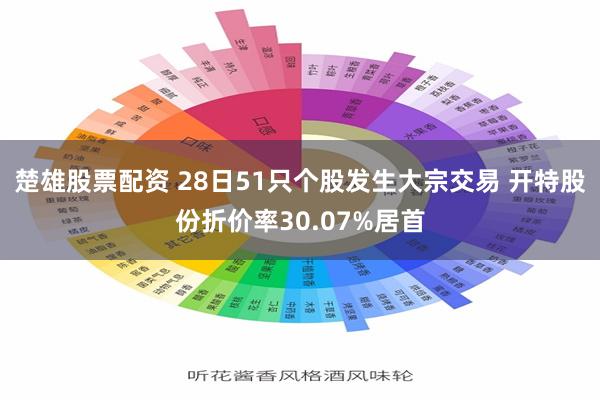 楚雄股票配资 28日51只个股发生大宗交易 开特股份折价率30.07%居首