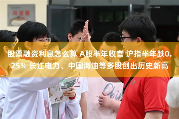 股票融资利息怎么算 A股半年收官 沪指半年跌0.25% 长江电力、中国海油等多股创出历史新高