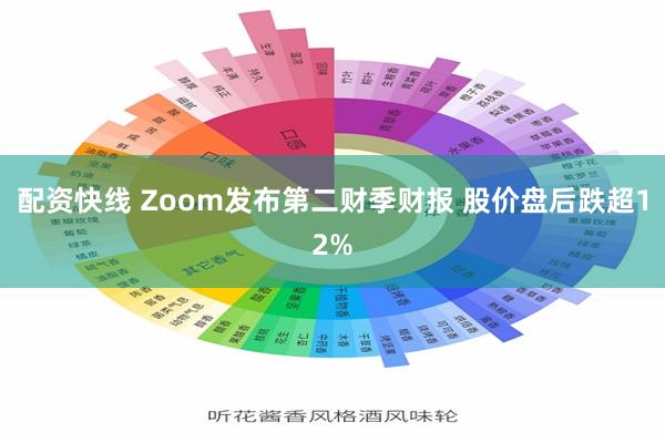 配资快线 Zoom发布第二财季财报 股价盘后跌超12%