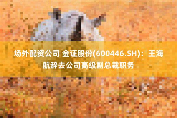 场外配资公司 金证股份(600446.SH)：王海航辞去公司高级副总裁职务