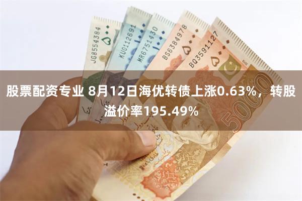 股票配资专业 8月12日海优转债上涨0.63%，转股溢价率195.49%