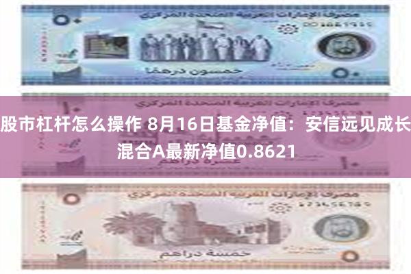 股市杠杆怎么操作 8月16日基金净值：安信远见成长混合A最新净值0.8621