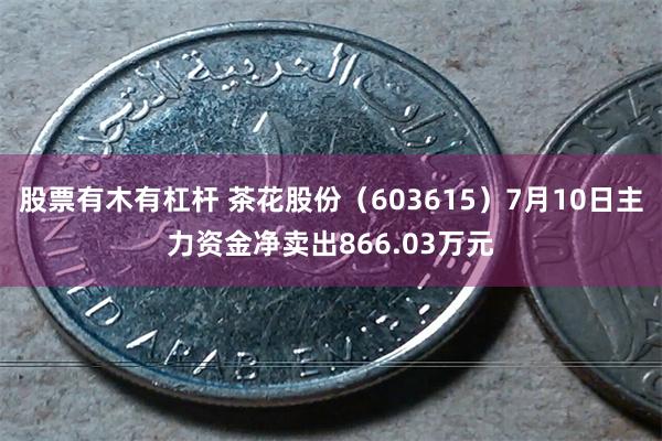 股票有木有杠杆 茶花股份（603615）7月10日主力资金净卖出866.03万元