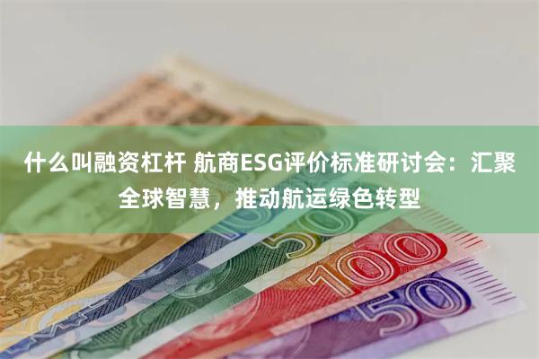 什么叫融资杠杆 航商ESG评价标准研讨会：汇聚全球智慧，推动航运绿色转型