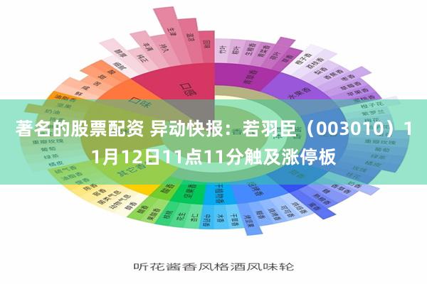 著名的股票配资 异动快报：若羽臣（003010）11月12日11点11分触及涨停板