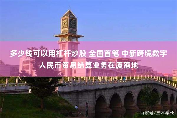 多少钱可以用杠杆炒股 全国首笔 中新跨境数字人民币贸易结算业务在厦落地